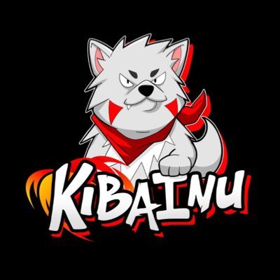 Image result for Kiba