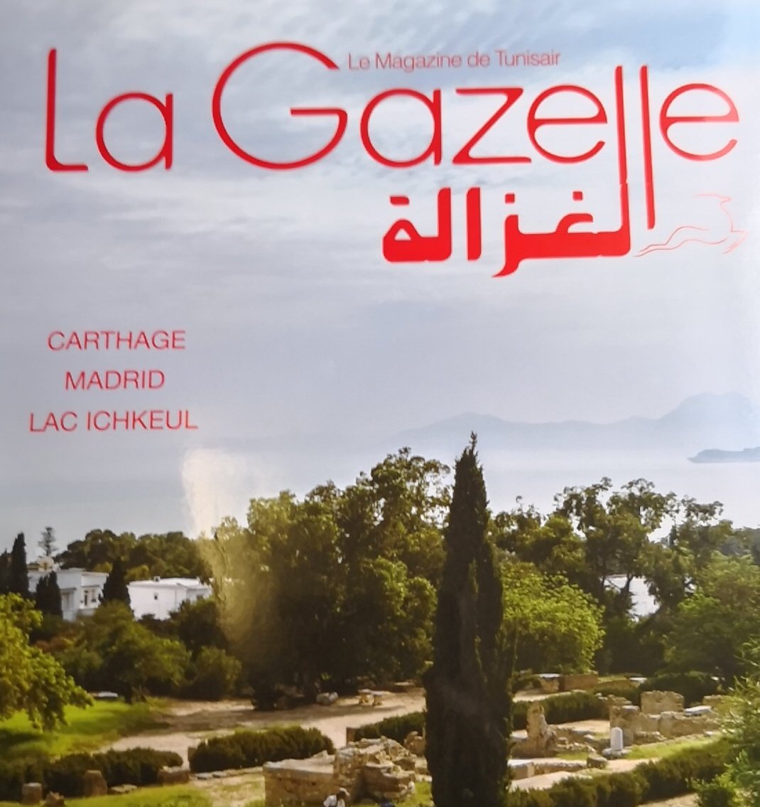 Image result for La Gazelle Tunisair