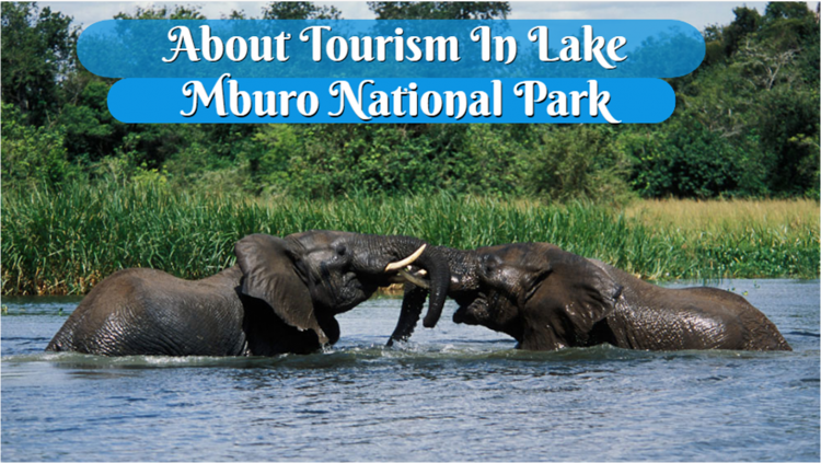 Image result for Lake Mburo Camp