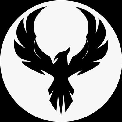 Image result for Black Phoenix