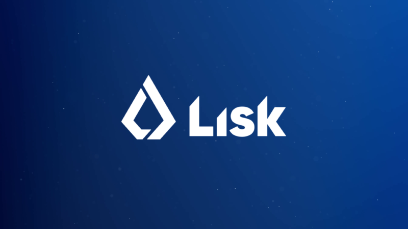 Image result for Lisk