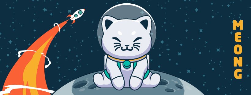 Image result for MEONG TOKEN