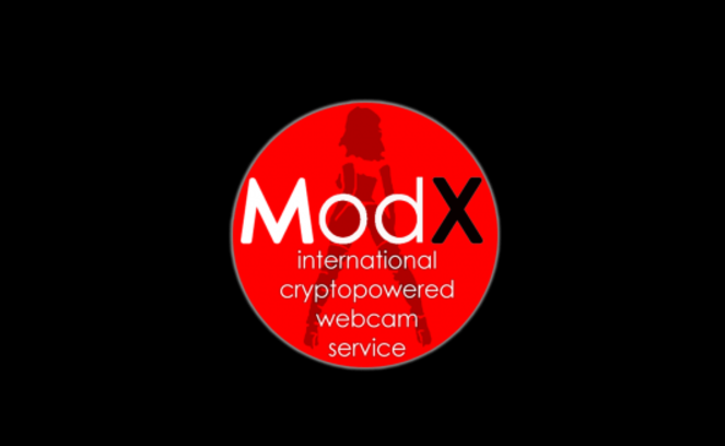 Image result for MODEL-X-coin