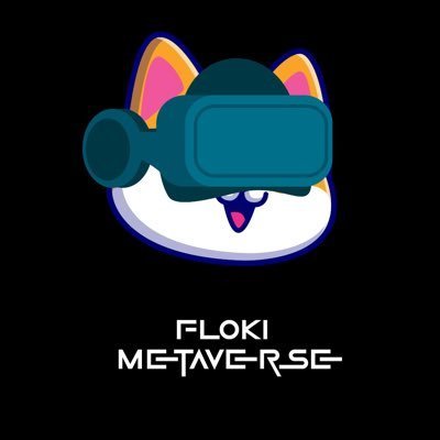 Image result for FLOKI METAVERSE