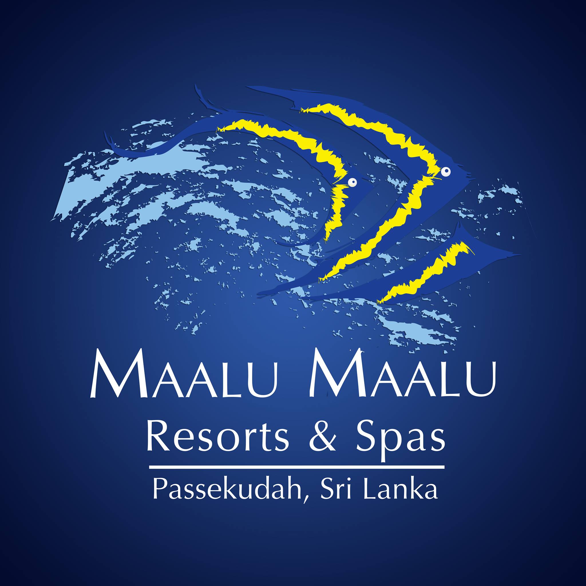 Image result for Maalu Maalu Resort & Spa