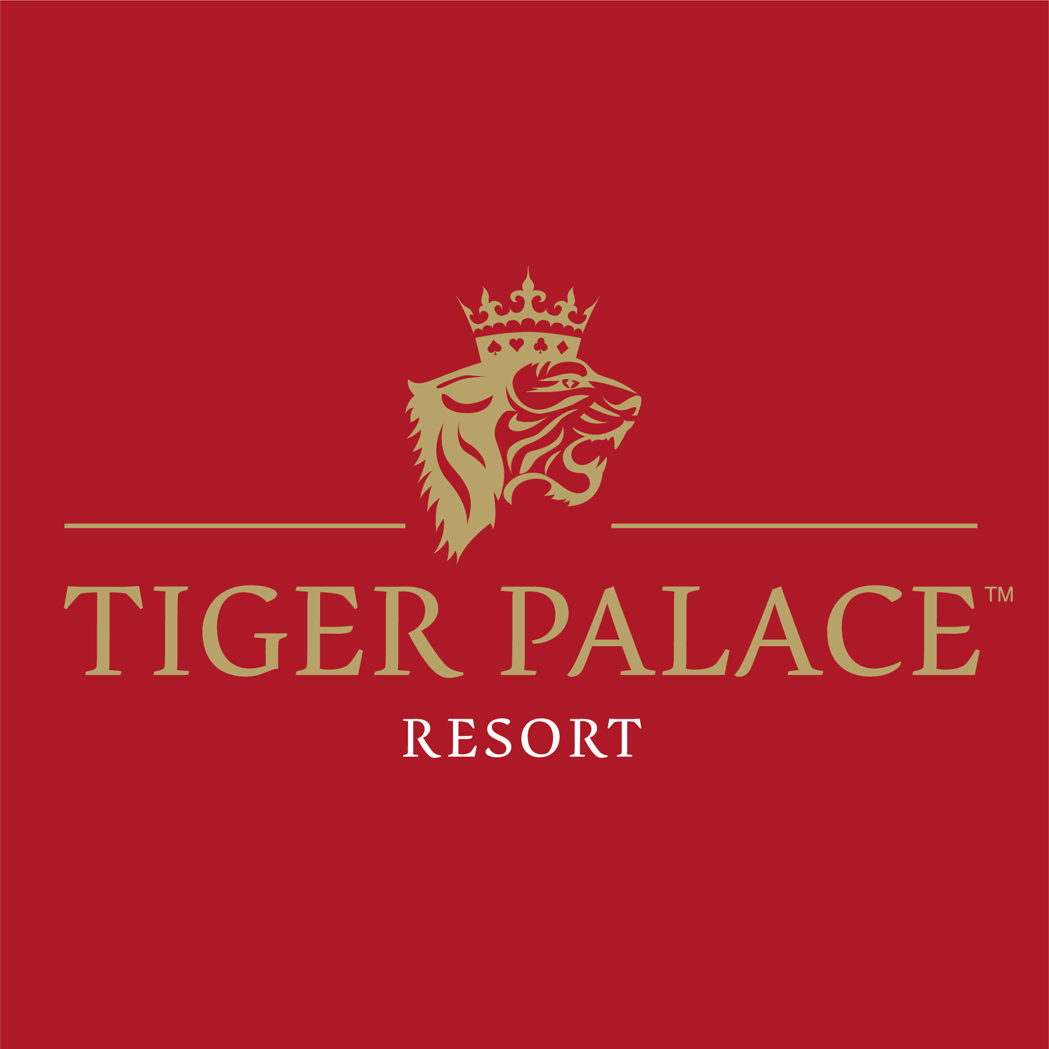 Image result for Madira Bar (Tiger Palace Resort)