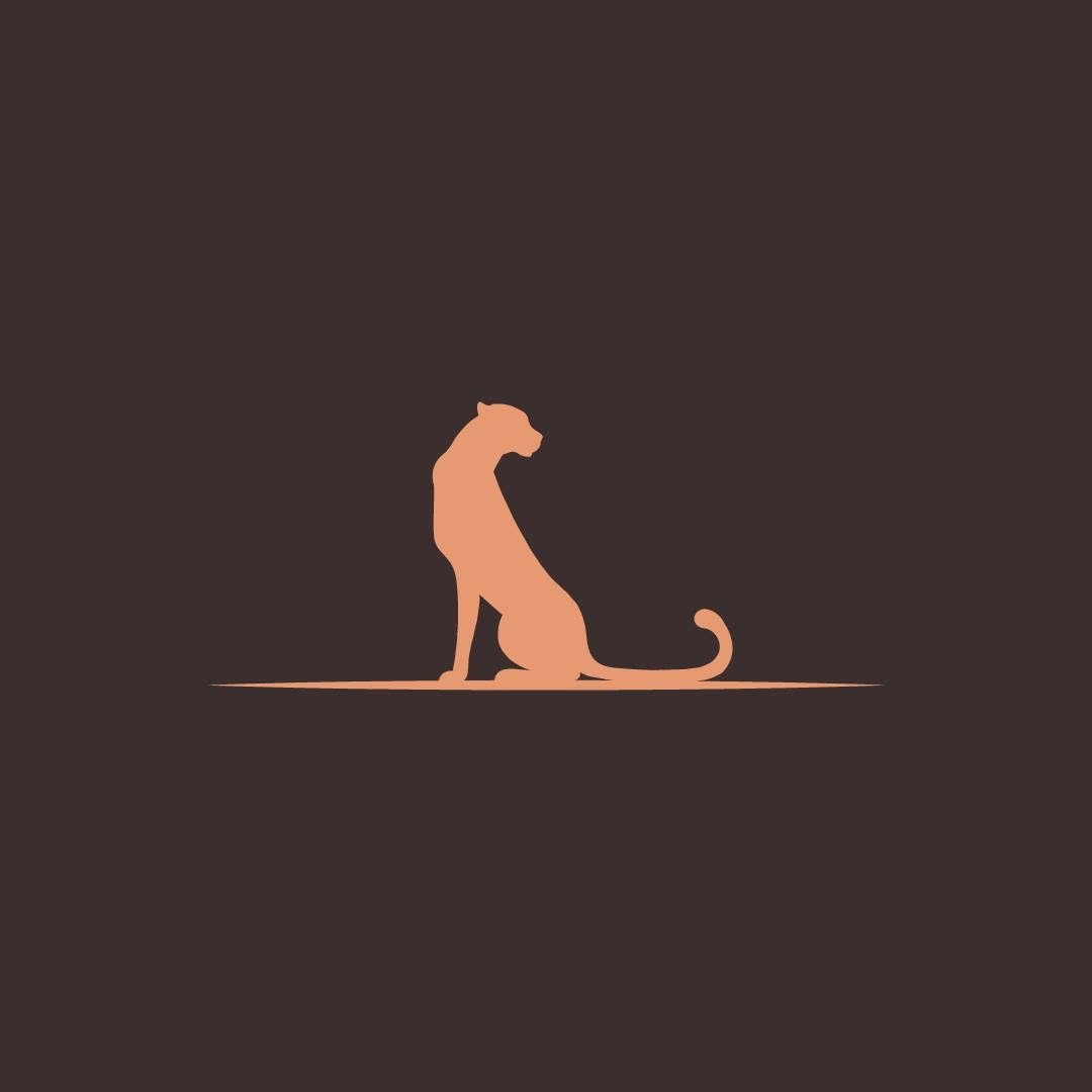 Image result for Mapogo Villa @ Cheetah Plains