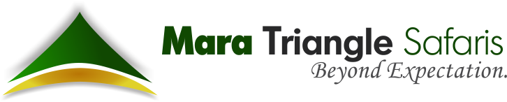 Image result for Mara Triangle Safaris