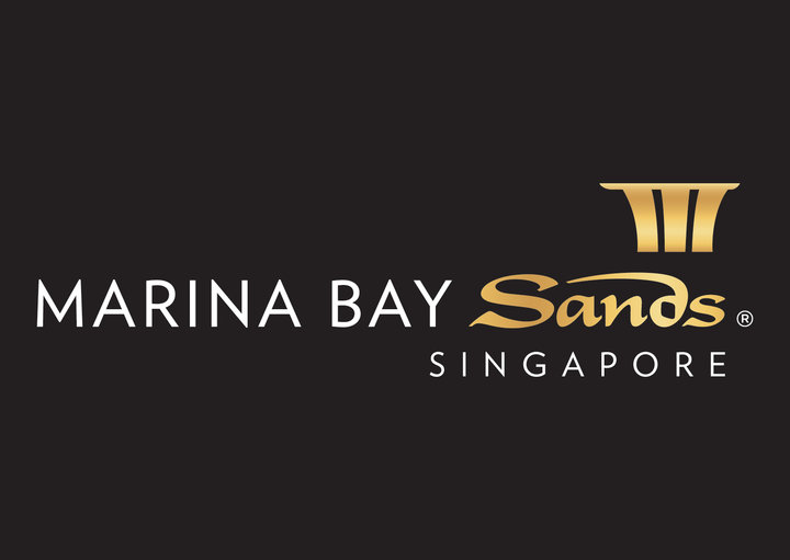 Image result for Marina Bay Sands (Singapore)