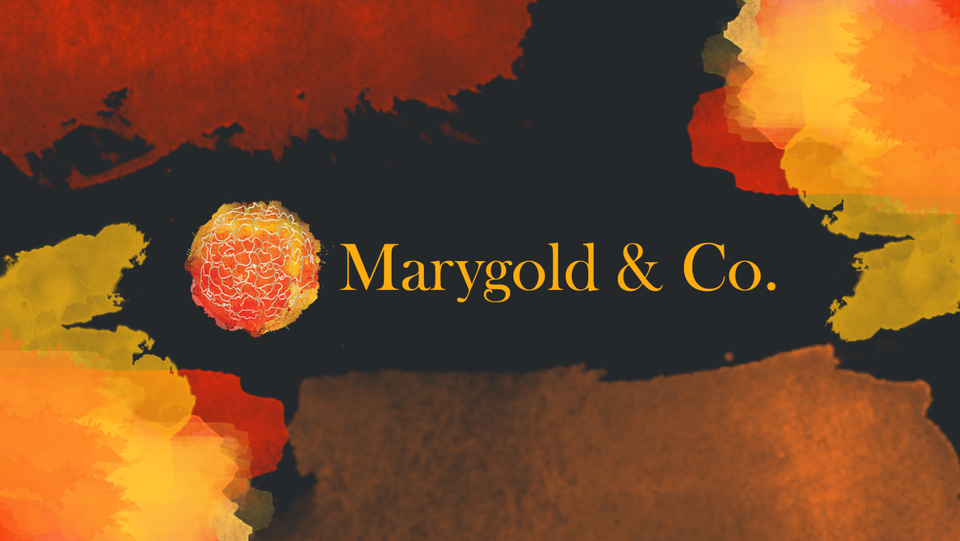 Image result for Marygold and Co