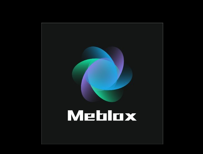 Image result for Meblox Protocol