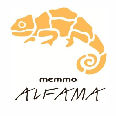 Image result for Memmo Alfama