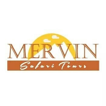 Image result for Mervin Safari Tours