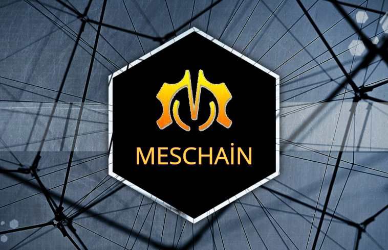 Image result for MesChain