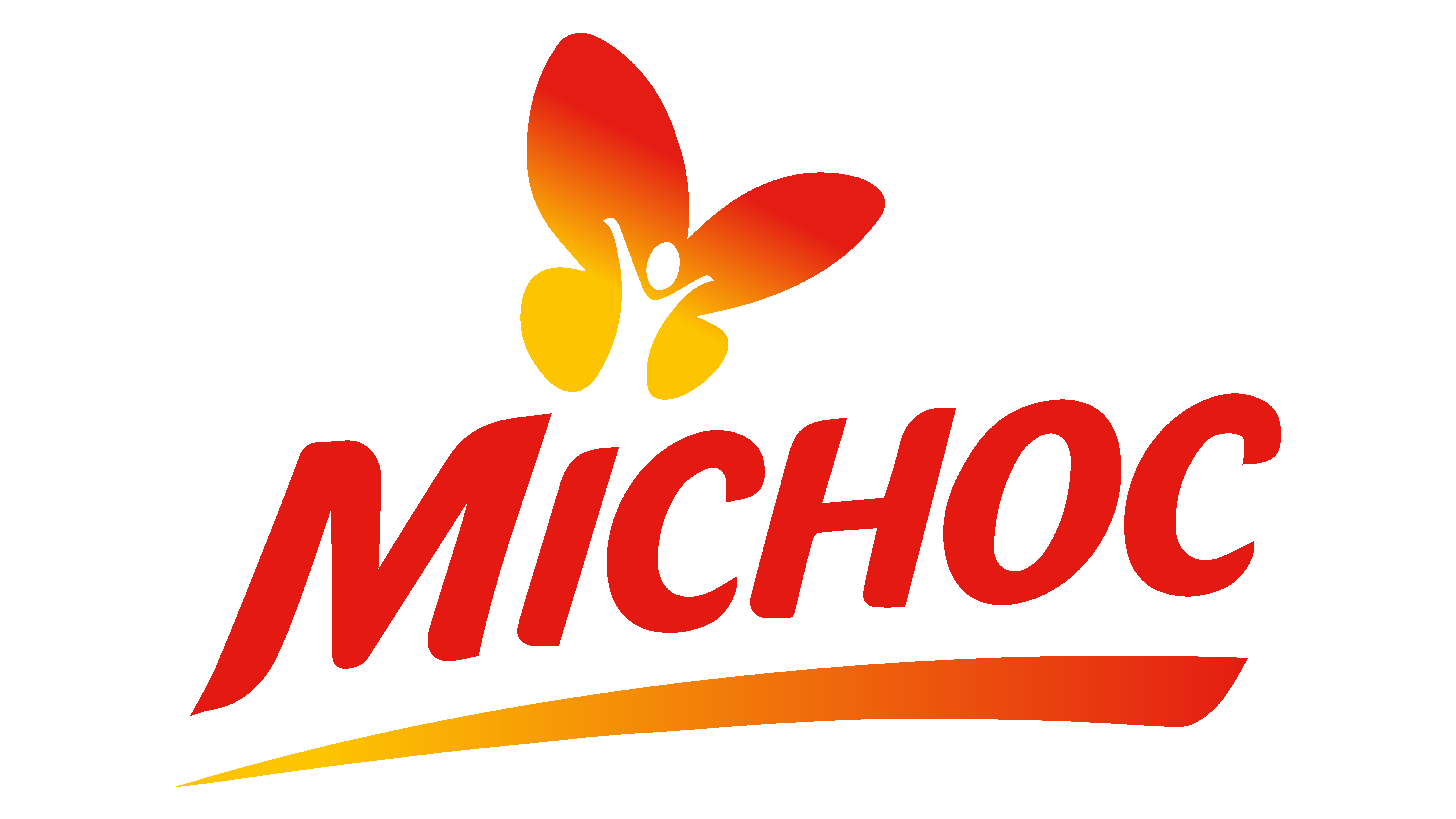 Image result for Michoc SA