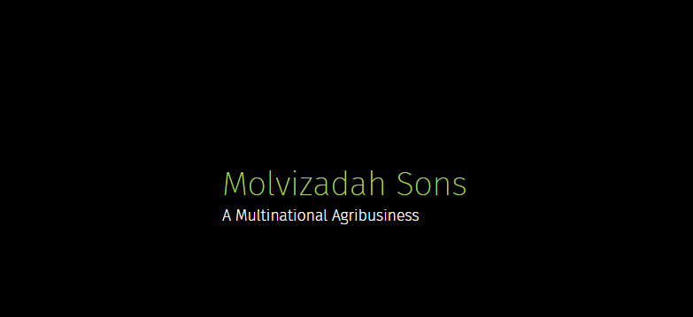 Image result for Molvizadah Sons