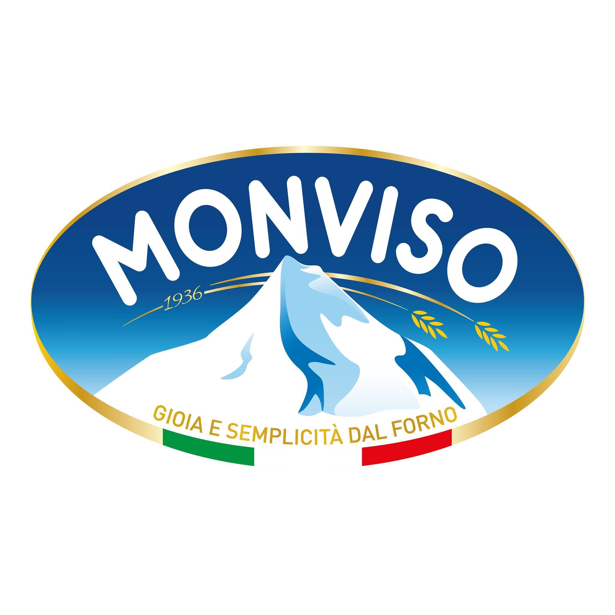 Image result for Monviso Group S.r.l.