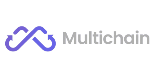 Image result for Multichain