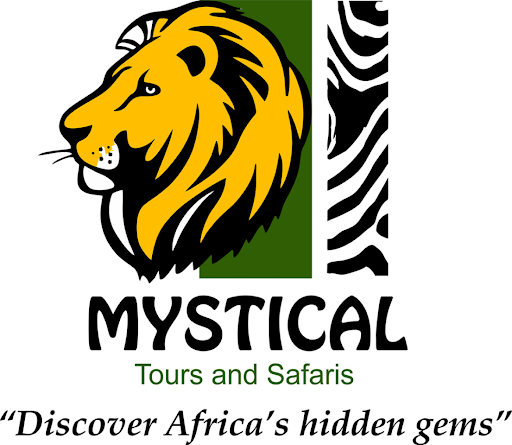 Image result for Mystical Tours And Safaris