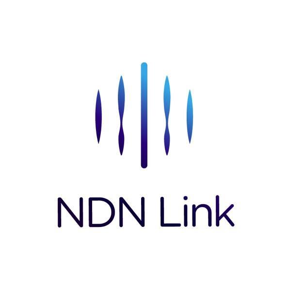 Image result for NDN Link