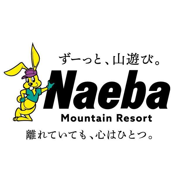 Image result for Naeba Ski Resort