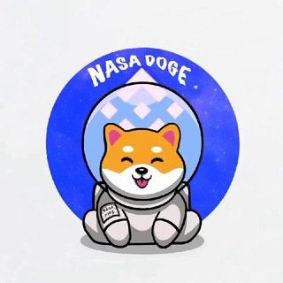 Image result for Nasa Doge