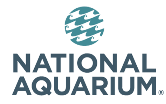 Image result for National Aquarium in Baltimore