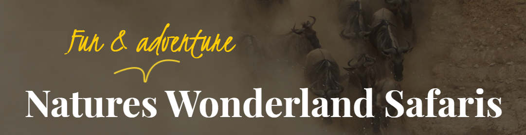 Image result for Natures Wonderland Safaris