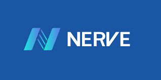 Image result for NerveNetwork