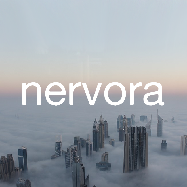 Image result for Nervora