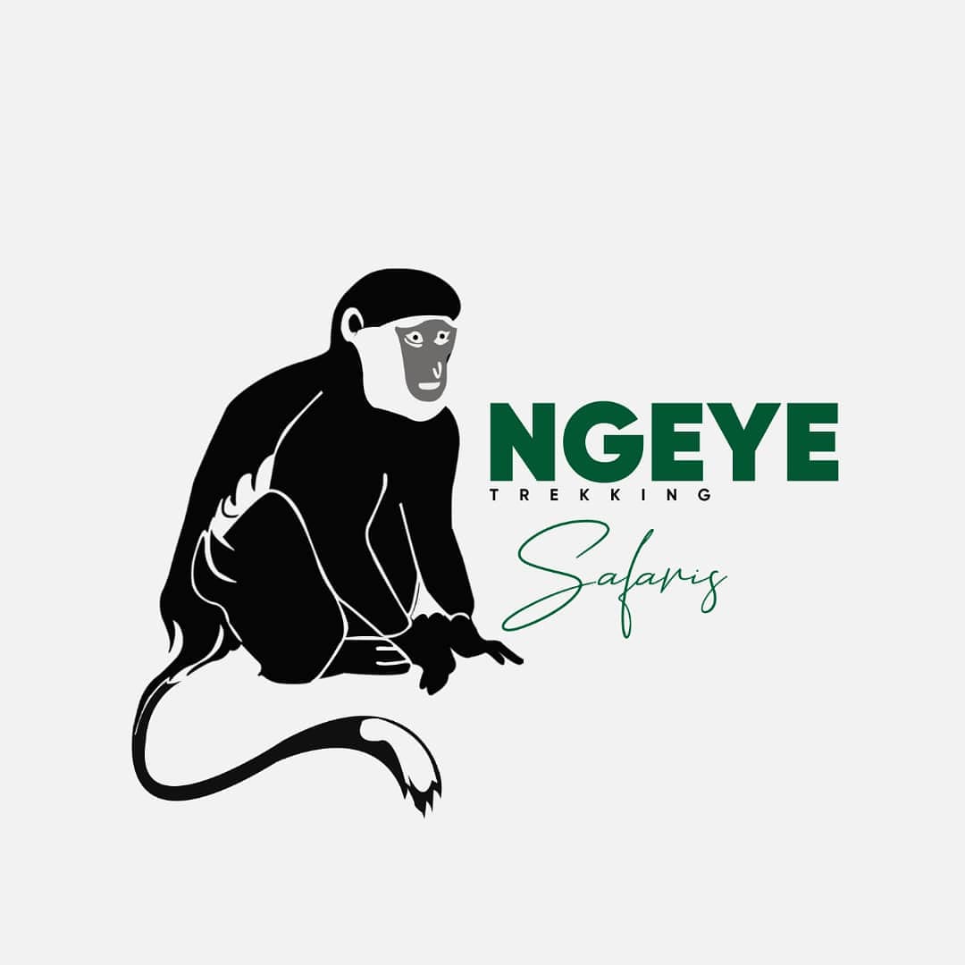 Image result for Ngeye Trekking Safaris