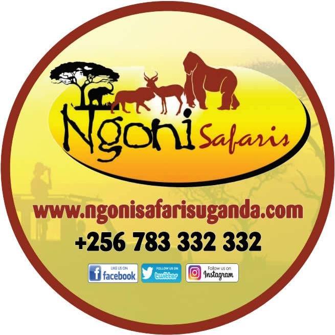 Image result for Ngoni Safaris Uganda