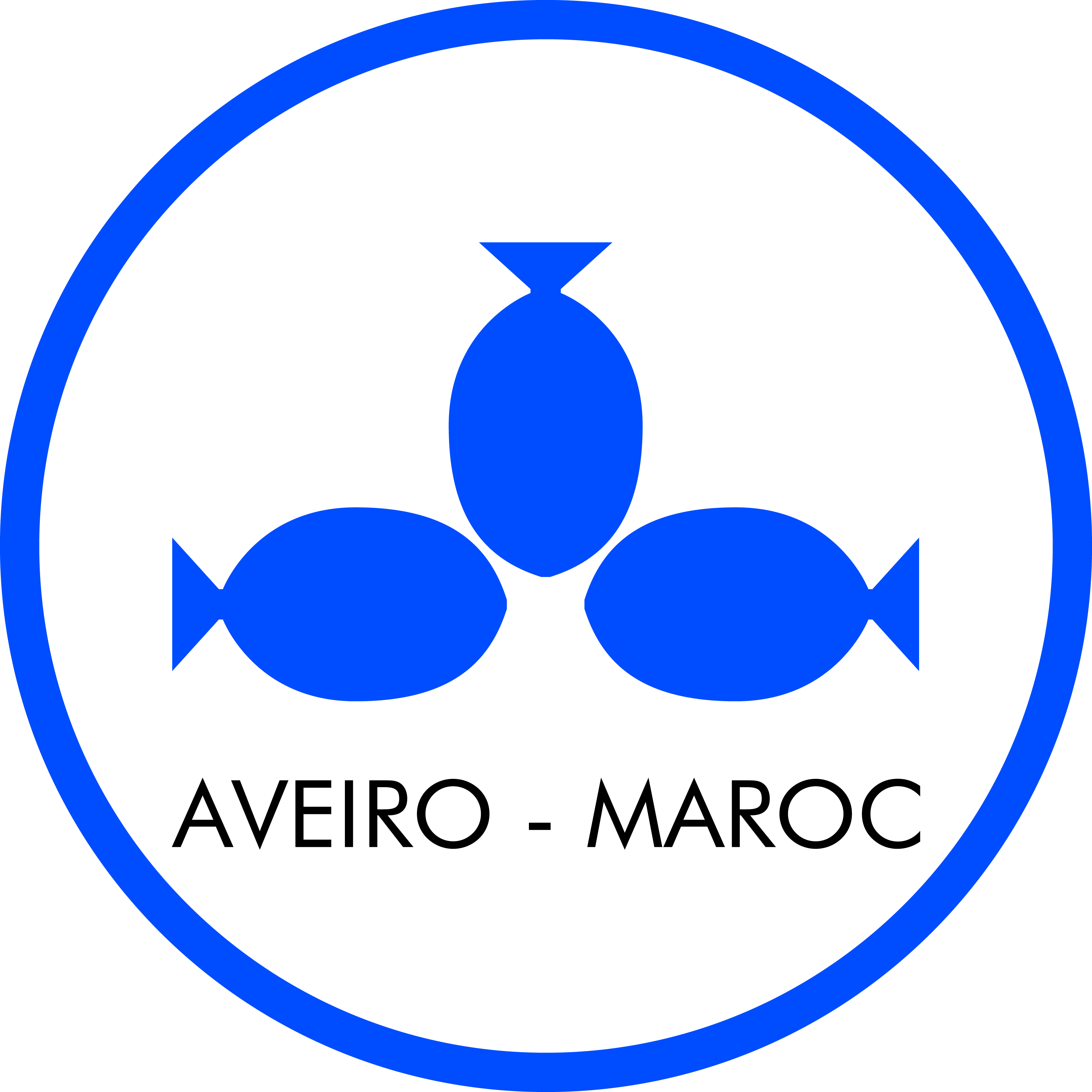 Image result for Nouvelle Aveiro Maroc