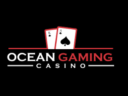 Image result for Ocean Gaming