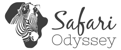 Image result for Odyssey Safaris