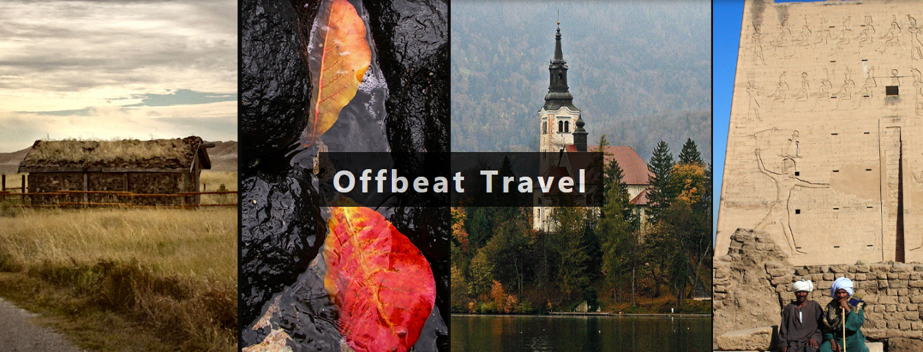 Image result for Off Beat Travel