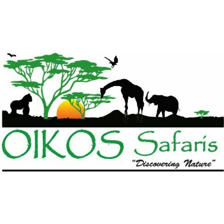 Image result for Oikos Safaris