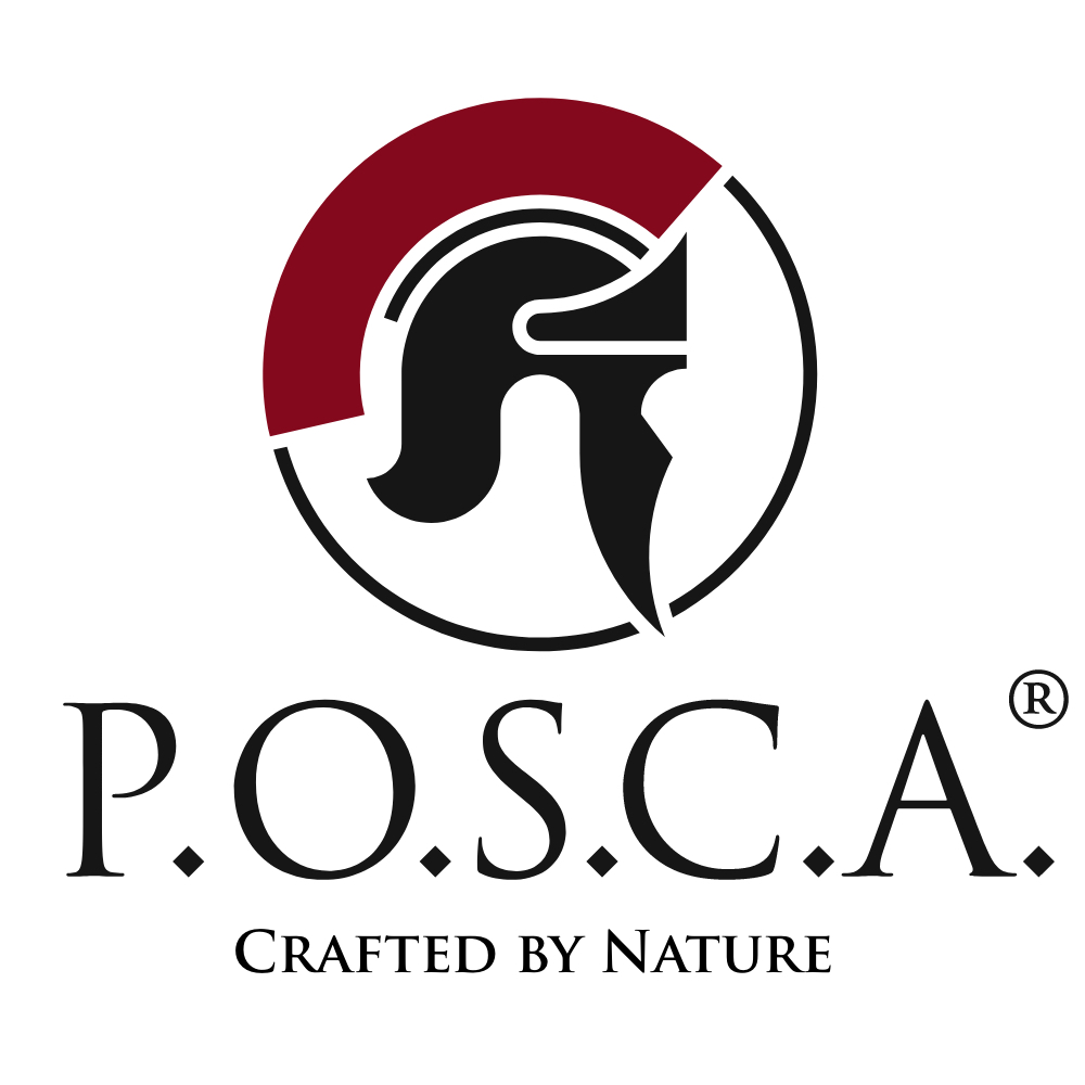 Image result for P.O.S.C.A. GmbH