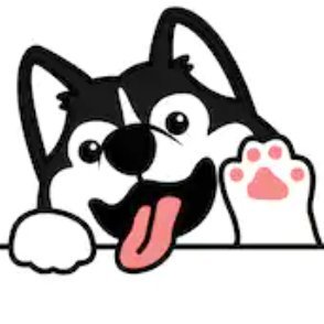 Image result for Husky