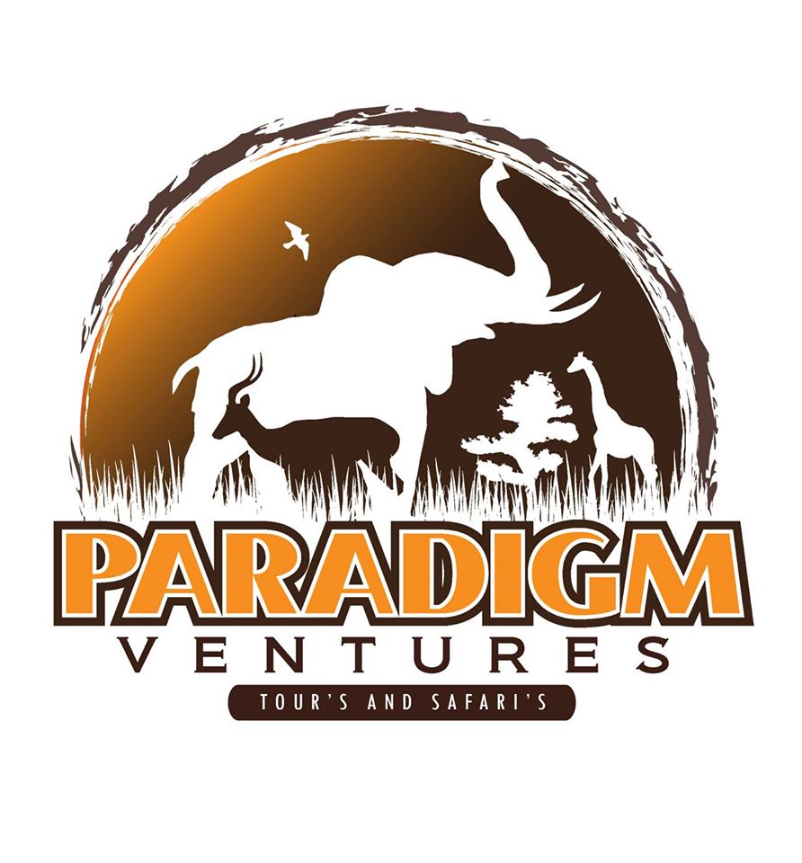 Image result for Paradigm Ventures