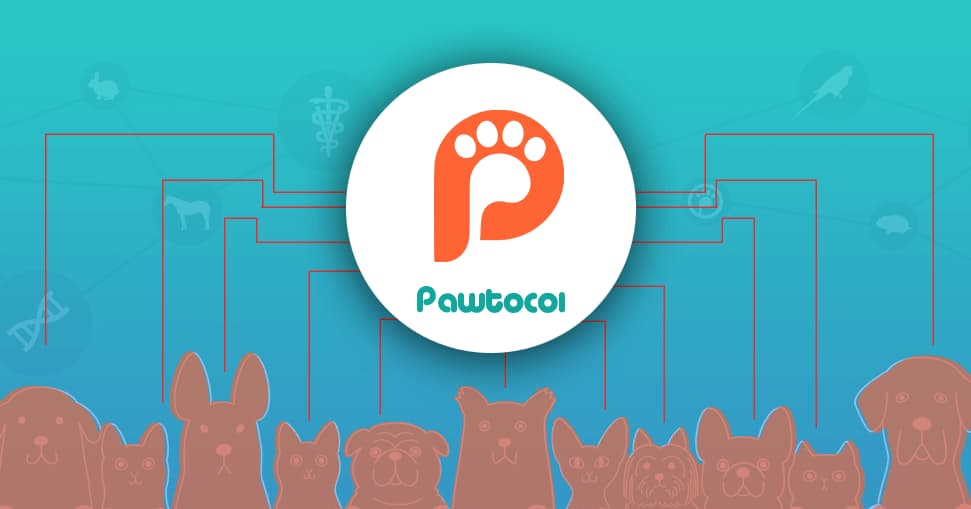 Image result for Pawtocol