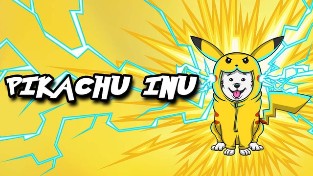 Image result for Pikachu Inu