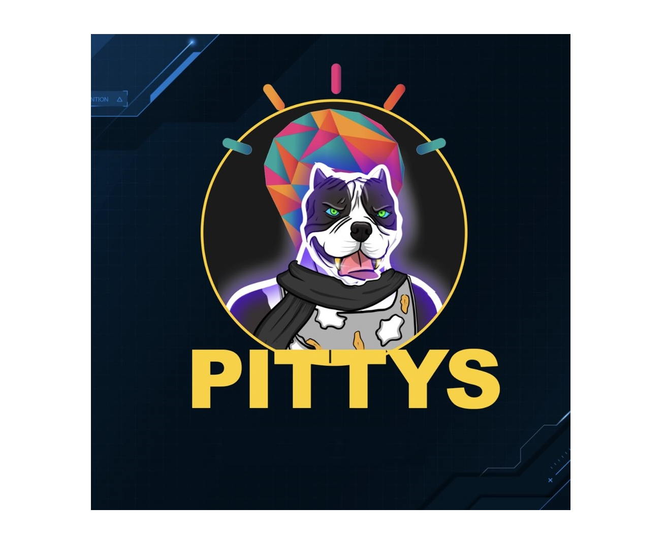 Image result for Pittys