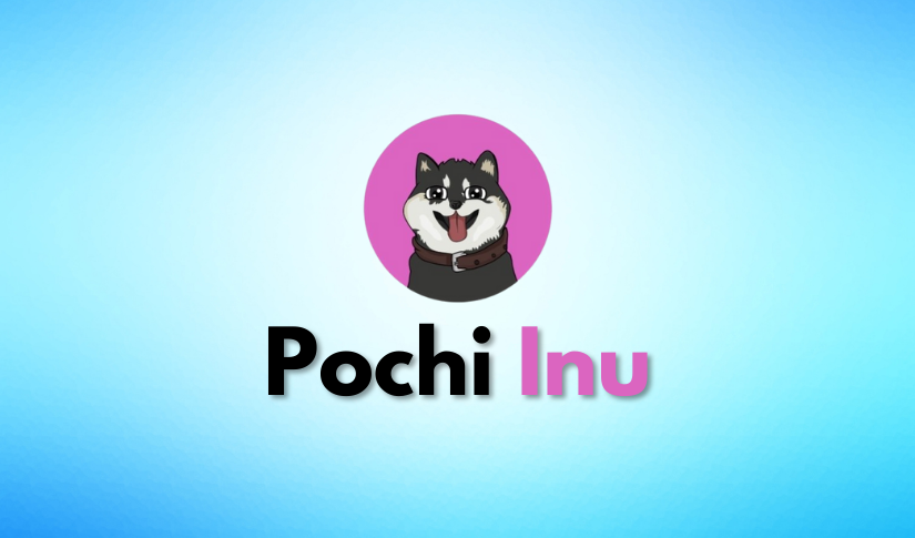 Image result for Pochi Inu