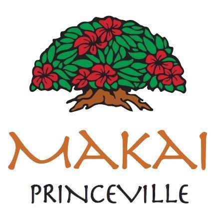 Image result for Princeville Makai Golf Club