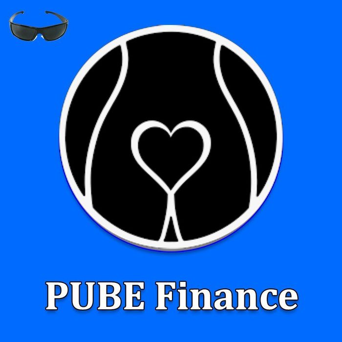 Image result for Pube finance