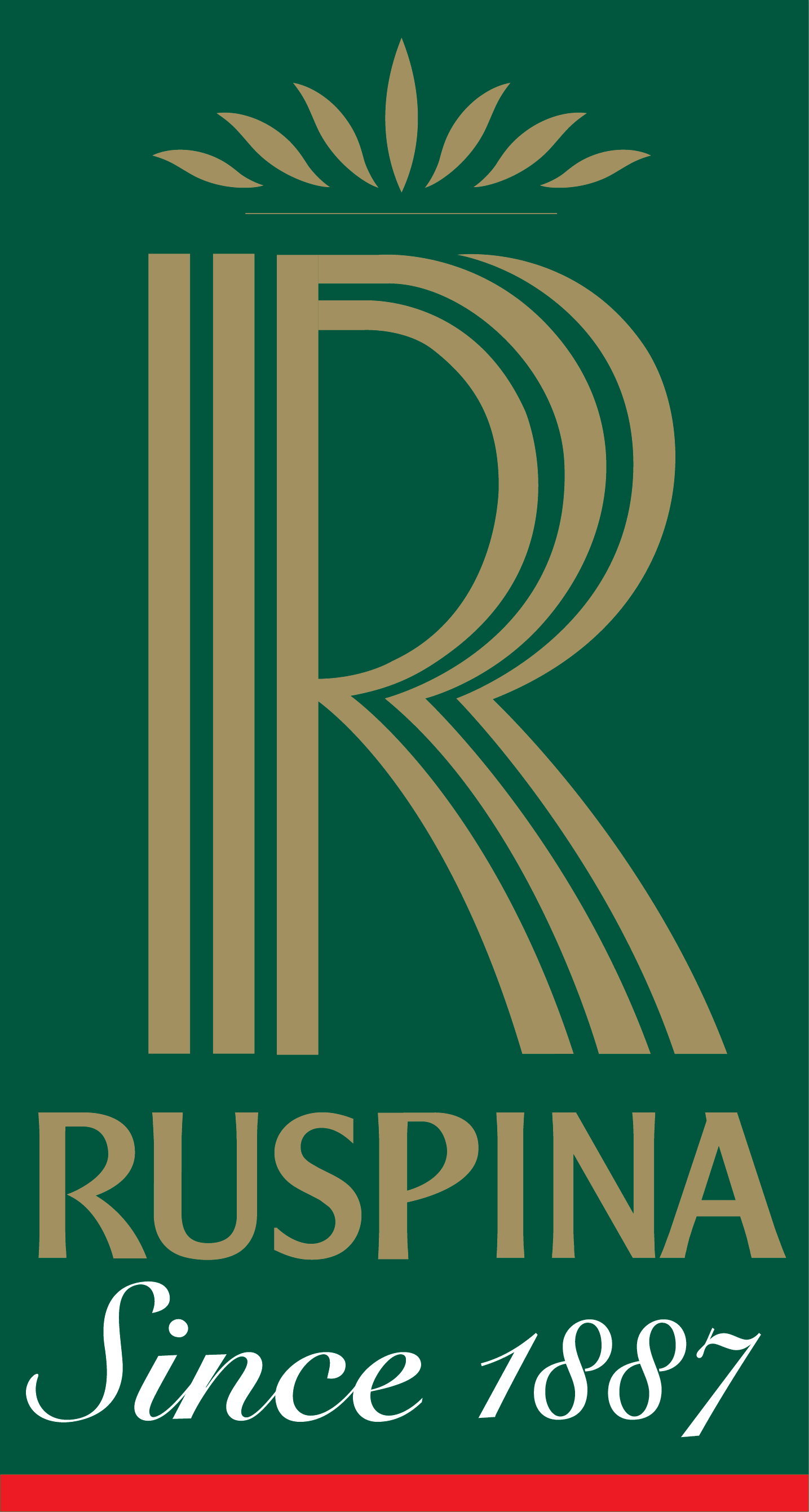 Image result for RUSPINA