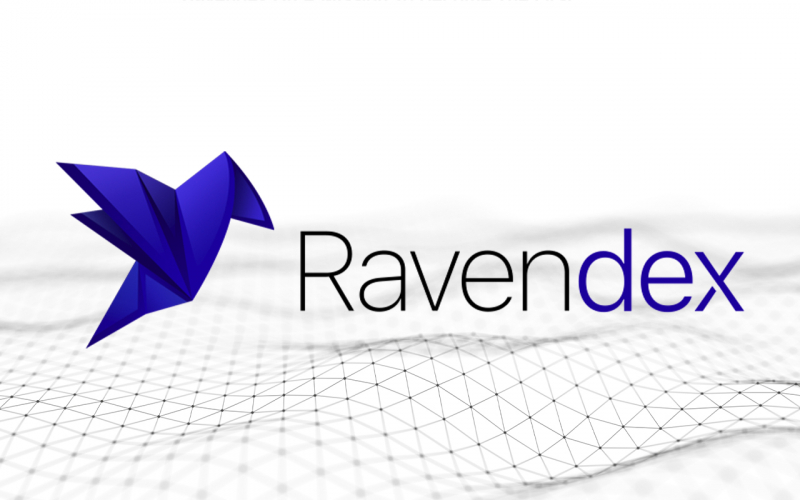 Image result for Ravendex