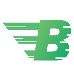 Image result for Bitcashpay (new)