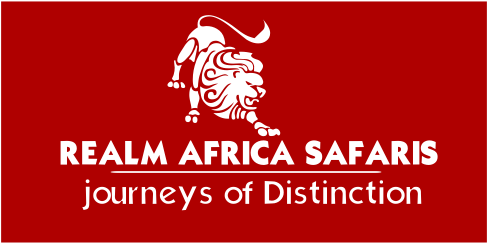 Image result for Realm Africa Safaris